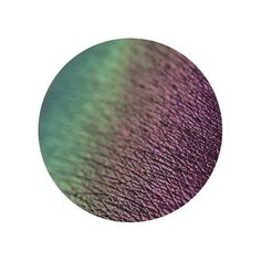 Tammy Tanuka Тени для век Sigil inspired локация Чудолесье благодарная