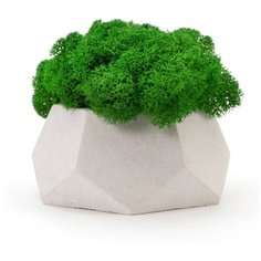 Кашпо бетонное со мхом Альфа, циркон, OKTAUR