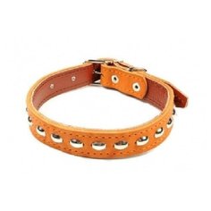 Зоотехнология-М 00402 Ошейник двойная кожа с украшением 30мм*66см Геогазтехнология