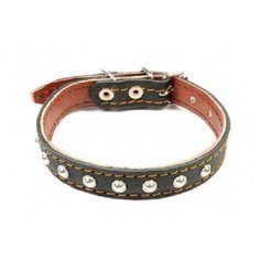 Зоотехнология-М 00211 Ошейник двойная кожа с украшением 20мм*46см Геогазтехнология