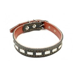 Зоотехнология-М 00310 Ошейник двойная кожа с украшением 25мм*56см Геогазтехнология