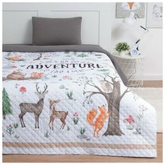 Покрывало "Этель" 2 сп Adventure, 180*220 см, микрофибра 5367890