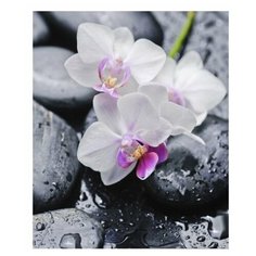 Фотообои Симфония К-095 "Белая орхидея", размер 1400*2000мм