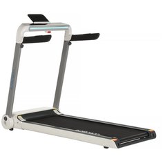 Беговая дорожка EVO FITNESS Delta