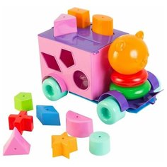 Сортер-автомобиль Тигренок 21 эл. Тигрес 39177