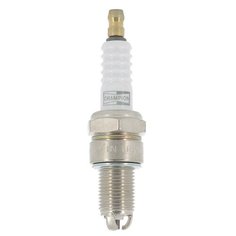 Свеча зажигания Champion OE027/T10 1 шт.