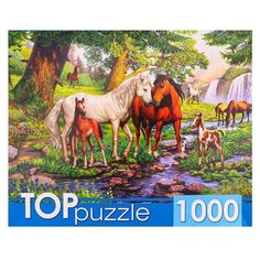 Пазл TOP Puzzle 1000 деталей: Лошади в прекрасной долине Рыжий кот