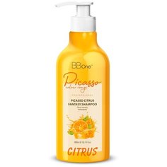 BB one Шампунь Picasso Citrus Fantasy Shampoo 300мл