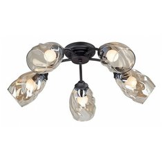 Люстры и потолочные светильники Vitaluce V4929-1/5PL