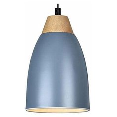 Люстры и потолочные светильники Toplight TL0724H-2N