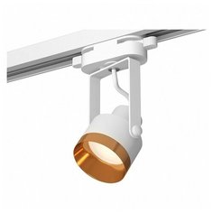 Люстры и потолочные светильники Ambrella XT6601044