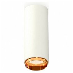 Люстры и потолочные светильники Ambrella XS6342005