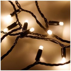 Светодиодная гирлянда ARD-String-PRO-10000-Green-100LED-STD Warm (230V, 7W), 1шт, ARdecoled, 025854