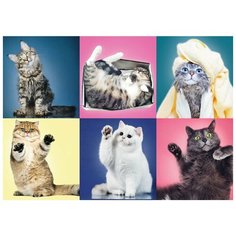 Пазл Trefl 500 деталей: Котята