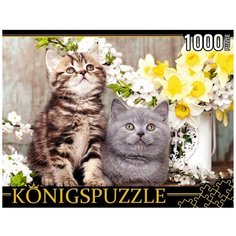 Рыжий Кот Пазл Konigspuzzle 1000 деталей: Котята в весенних цветах