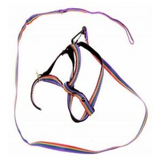 Томикс 0172 Комплект дкошек поводок радуга+шлейка двухслойная капрон 1,3м*12мм