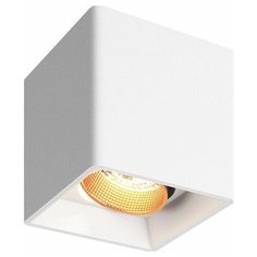 Люстры и потолочные светильники DENKIRS DK3080-WBR