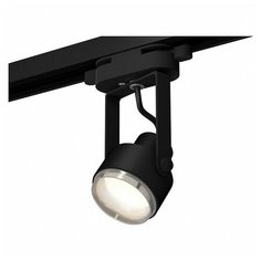 Люстры и потолочные светильники Ambrella XT6602021