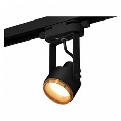 Люстры и потолочные светильники Ambrella XT6602023