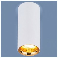Люстры и потолочные светильники Elektrostandard a040669
