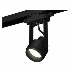 Люстры и потолочные светильники Ambrella XT6602020