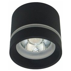 Люстры и потолочные светильники APLOYT APL.0043.19.05