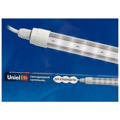 Люстры и потолочные светильники Uniel ULY-P60-10W/SCEP/K IP65 DC24V WHITE