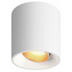 Люстры и потолочные светильники DENKIRS DK3090-WBR