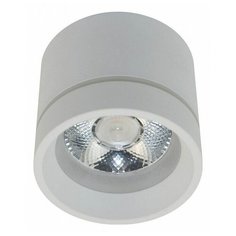 Люстры и потолочные светильники APLOYT APL.0044.09.05