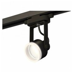 Люстры и потолочные светильники Ambrella XT6602084