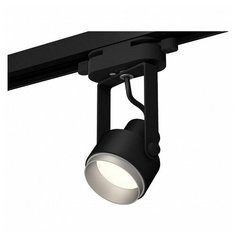 Люстры и потолочные светильники Ambrella XT6602022