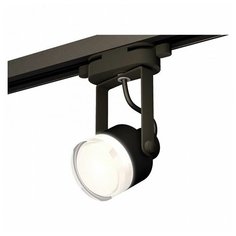 Люстры и потолочные светильники Ambrella XT6602083