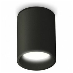 Люстры и потолочные светильники Ambrella XS6313021