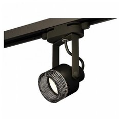 Люстры и потолочные светильники Ambrella XT6602061