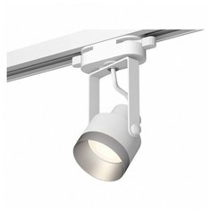 Люстры и потолочные светильники Ambrella XT6601043