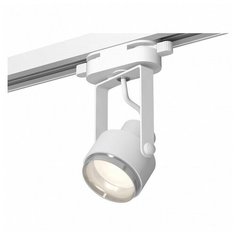 Люстры и потолочные светильники Ambrella XT6601021