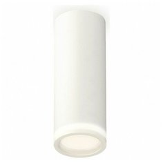 Люстры и потолочные светильники Ambrella XS6342040