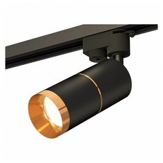 Люстры и потолочные светильники Ambrella XT6302021