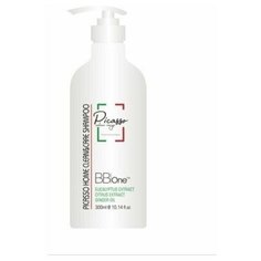 BB one / Шампунь для окрашенных волос с гидролизованным коллагеном Picasso Home Care Repair Shampoo, 300 мл.