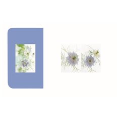 Набор сервировочных салфеток Maestro MR-1950