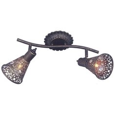 Спот Favourite Arabian Drim 1797-2U