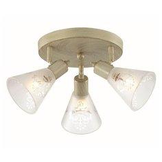 Спот Favourite Gumbata 1794-3U