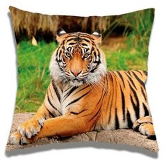 Подушка декоративная ГТ4 35х35 см, холлофайбер, габардин, пэ 100% 7162661 Гранд Стиль