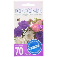 Семена цветов Колокольчик Чашка с блюдцем, смесь, двулетник, 0,2 гр Агроуспех