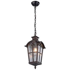 Уличный подвесной светильник Favourite Bristol 2036-1P