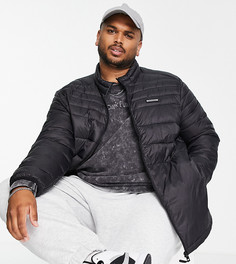 Черный пуховик с воротником-стойкой Jack & Jones Essentials Plus-Черный цвет