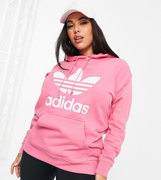 Розовый худи с большим логотипом adidas Originals Plus adicolor-Розовый цвет