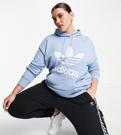 Голубой худи с большим логотипом adidas Originals Plus adicolor