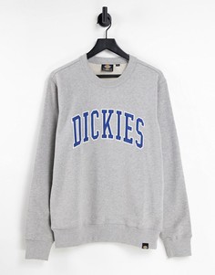 Серый свитшот Dickies Aitkin