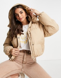 Бежевый пуховик с капюшоном Brave Soul Bunny-Коричневый цвет